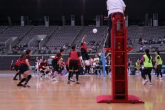 IMG_5823