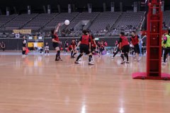 IMG_5831