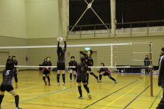 IMG_7512