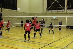 IMG_7528