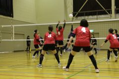 IMG_7531