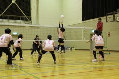 IMG_7536