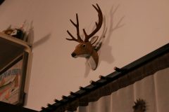 IMG_7604