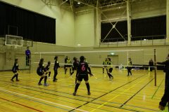 IMG_8133
