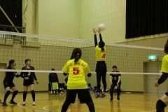 IMG_8153
