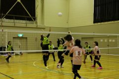 IMG_8158